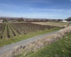 RICHARDS RD, Prosser, Washington 99350, ,Residential,For Sale,RICHARDS RD,282700
