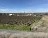 RICHARDS RD, Prosser, Washington 99350, ,Residential,For Sale,RICHARDS RD,282700
