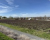 RICHARDS RD, Prosser, Washington 99350, ,Residential,For Sale,RICHARDS RD,282700