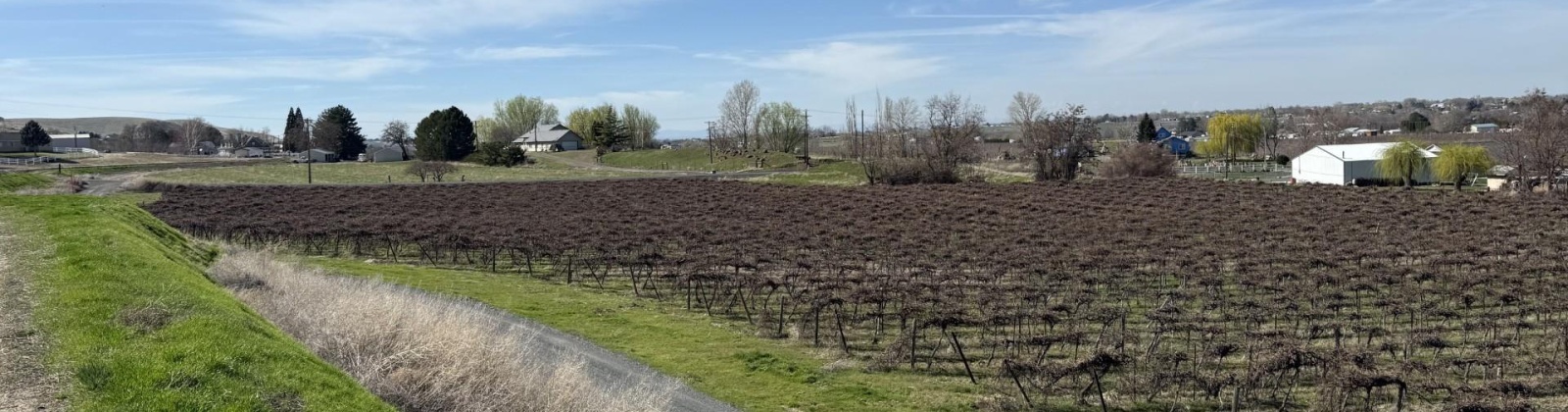 RICHARDS RD, Prosser, Washington 99350, ,Residential,For Sale,RICHARDS RD,282700