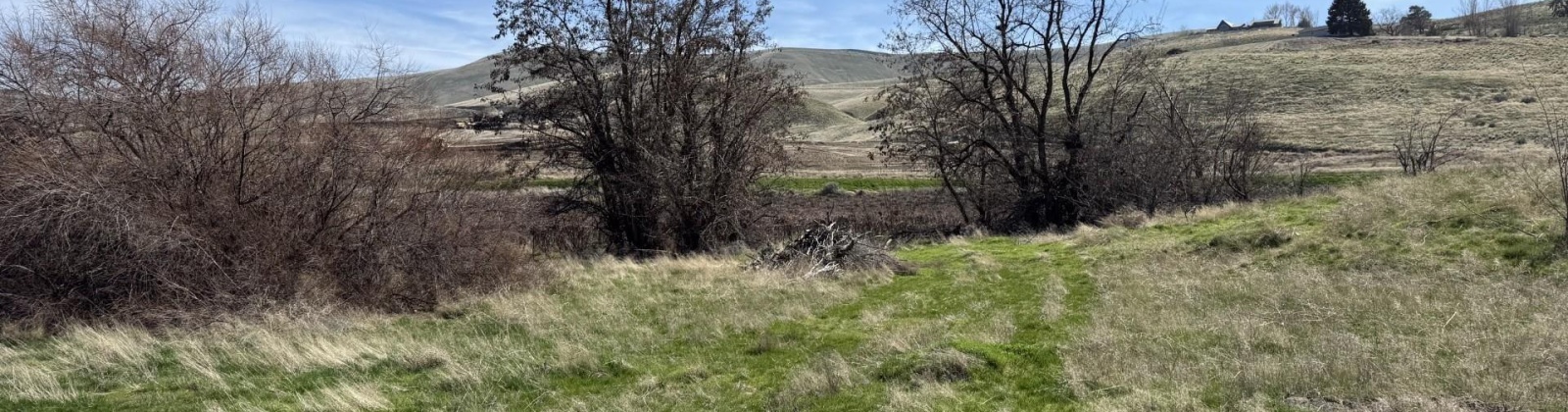 RICHARDS RD, Prosser, Washington 99350, ,Residential,For Sale,RICHARDS RD,282700