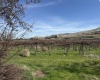 RICHARDS RD, Prosser, Washington 99350, ,Residential,For Sale,RICHARDS RD,282700
