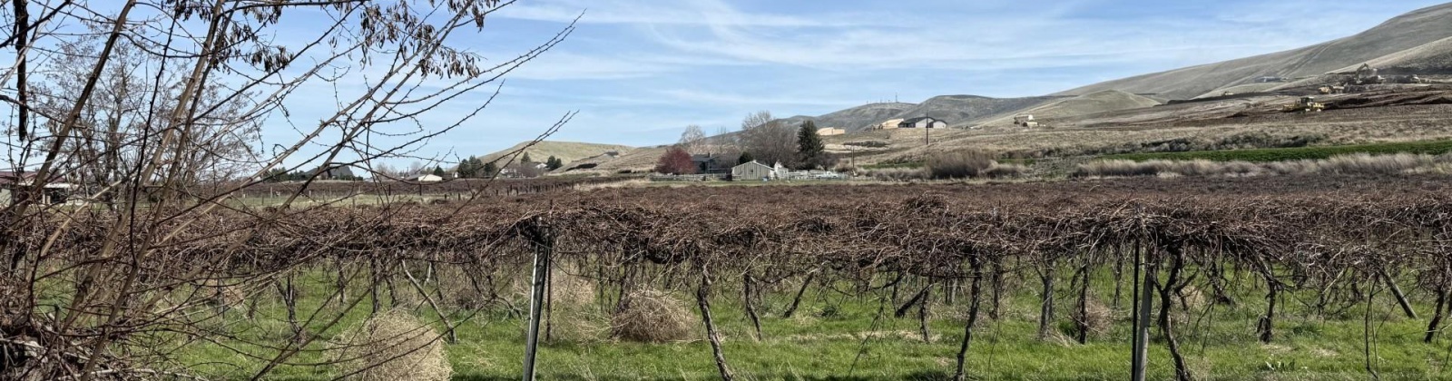 RICHARDS RD, Prosser, Washington 99350, ,Residential,For Sale,RICHARDS RD,282700