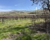 RICHARDS RD, Prosser, Washington 99350, ,Residential,For Sale,RICHARDS RD,282700