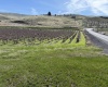RICHARDS RD, Prosser, Washington 99350, ,Residential,For Sale,RICHARDS RD,282700