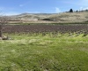 RICHARDS RD, Prosser, Washington 99350, ,Residential,For Sale,RICHARDS RD,282700
