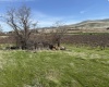 RICHARDS RD, Prosser, Washington 99350, ,Residential,For Sale,RICHARDS RD,282700