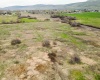 McDonald Rd, Prosser, Washington 99350, ,Agricultural,For Sale,McDonald Rd,282723