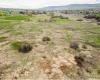 McDonald Rd, Prosser, Washington 99350, ,Agricultural,For Sale,McDonald Rd,282723