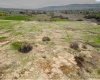 McDonald Rd, Prosser, Washington 99350, ,Agricultural,For Sale,McDonald Rd,282723