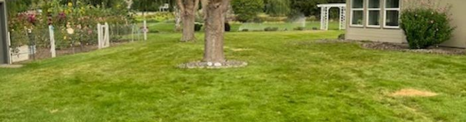 Northstar PRNE, West Richland, Washington 99353, 3 Bedrooms Bedrooms, 0 ,2 BathroomsBathrooms,Houses,For Sale,Northstar PRNE,0,283726