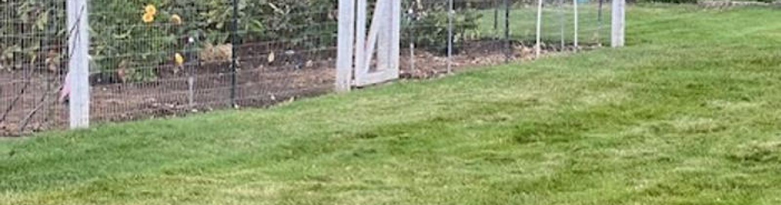 Northstar PRNE, West Richland, Washington 99353, 3 Bedrooms Bedrooms, 0 ,2 BathroomsBathrooms,Houses,For Sale,Northstar PRNE,0,283726