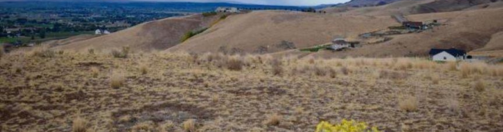 Ward Gap Rd, Prosser, Washington 99350, ,Residential,For Sale,Ward Gap Rd,282760
