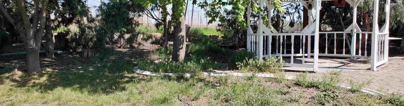 GRANDVIEW PAVEMENT RD., Mabton, Washington 98935, 3 Bedrooms Bedrooms, ,2 BathroomsBathrooms,Manufactured-owned Lot,For Sale,GRANDVIEW PAVEMENT RD.,283742