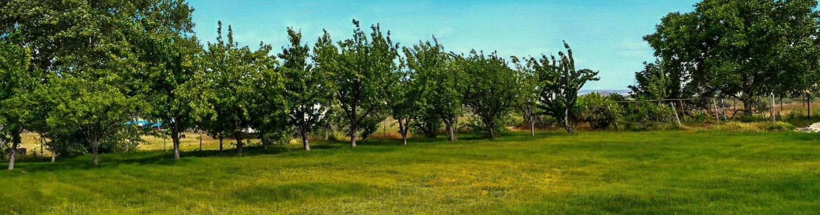 Terril Rd, Kennewick, Washington 99337, 4 Bedrooms Bedrooms, ,3 BathroomsBathrooms,For Sale,Terril Rd,284311
