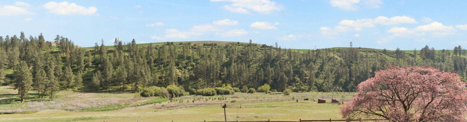 Palouse River Road, Colfax, Washington 99111, 5 Bedrooms Bedrooms, 0 ,4 BathroomsBathrooms,Houses,For Sale,Palouse River Road,0,283940