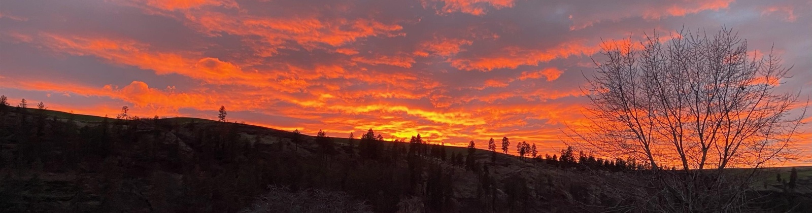 Palouse River Road, Colfax, Washington 99111, 5 Bedrooms Bedrooms, 0 ,4 BathroomsBathrooms,Houses,For Sale,Palouse River Road,0,283940
