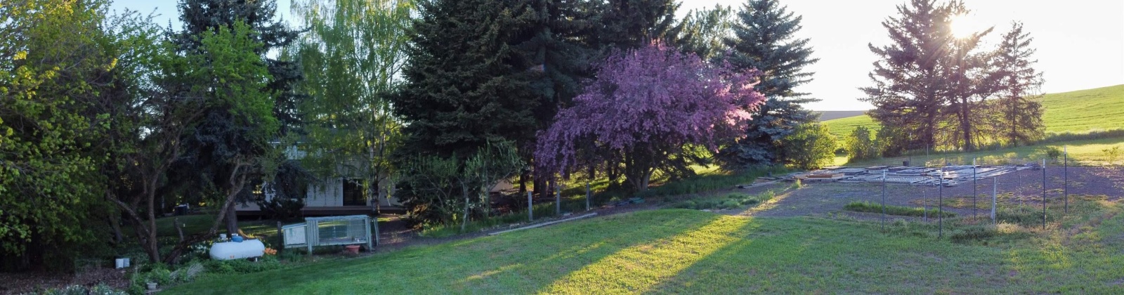 Sand Rd., Pullman, Washington 99163, 4 Bedrooms Bedrooms, 0 ,3 BathroomsBathrooms,Houses,For Sale,Sand Rd.,0,284466