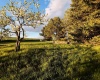 Sand Rd., Pullman, Washington 99163, 4 Bedrooms Bedrooms, 0 ,3 BathroomsBathrooms,Houses,For Sale,Sand Rd.,0,284466