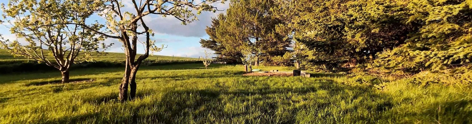 Sand Rd., Pullman, Washington 99163, 4 Bedrooms Bedrooms, 0 ,3 BathroomsBathrooms,Houses,For Sale,Sand Rd.,0,284466