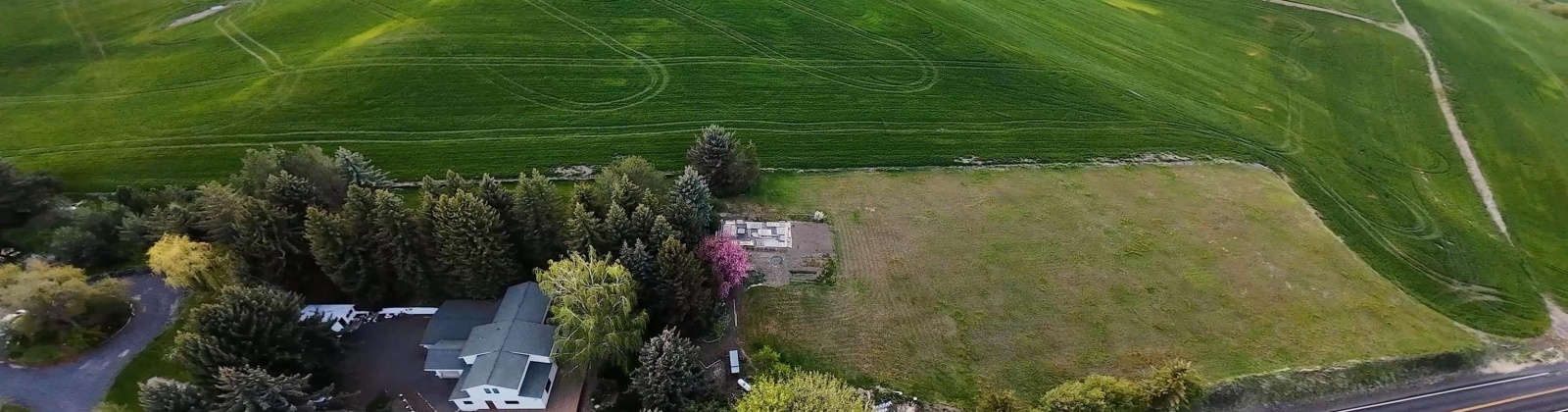 Sand Rd., Pullman, Washington 99163, 4 Bedrooms Bedrooms, 0 ,3 BathroomsBathrooms,Houses,For Sale,Sand Rd.,0,284466