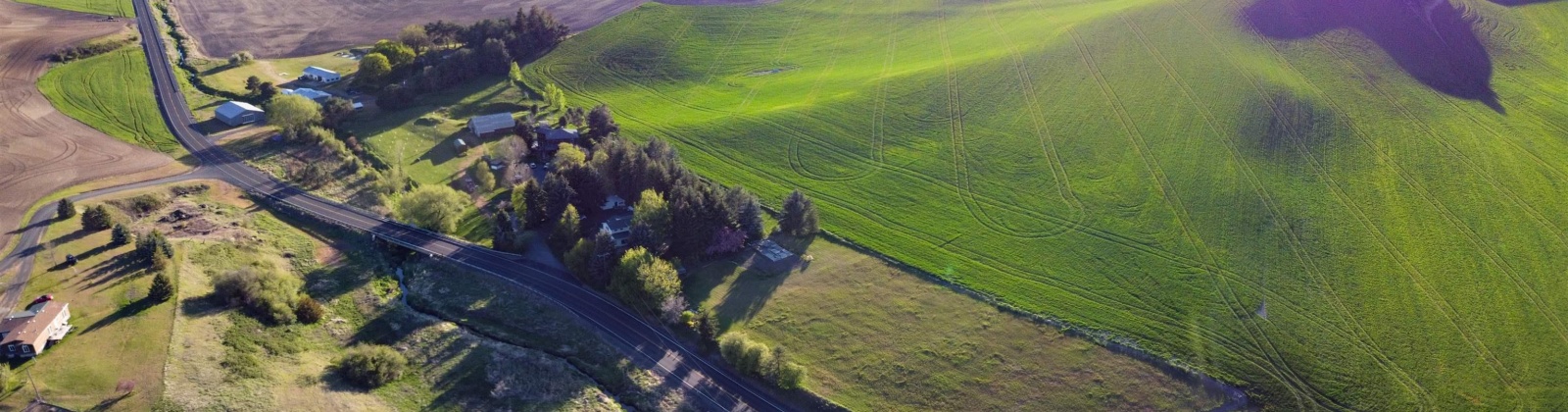 Sand Rd., Pullman, Washington 99163, 4 Bedrooms Bedrooms, 0 ,3 BathroomsBathrooms,Houses,For Sale,Sand Rd.,0,284466