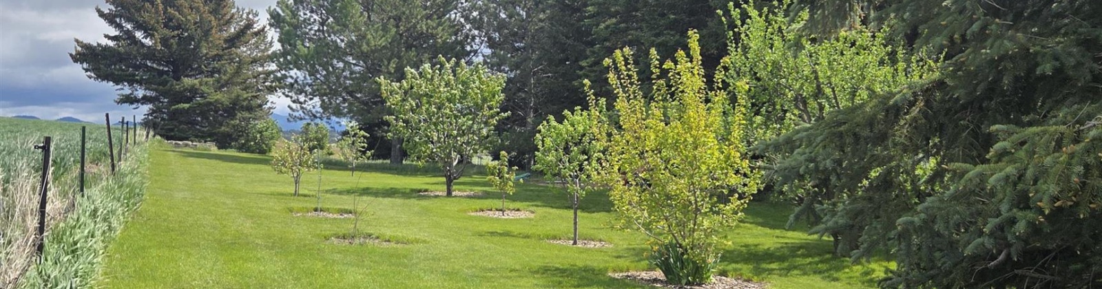 Sand Rd., Pullman, Washington 99163, 4 Bedrooms Bedrooms, 0 ,3 BathroomsBathrooms,Houses,For Sale,Sand Rd.,0,284466
