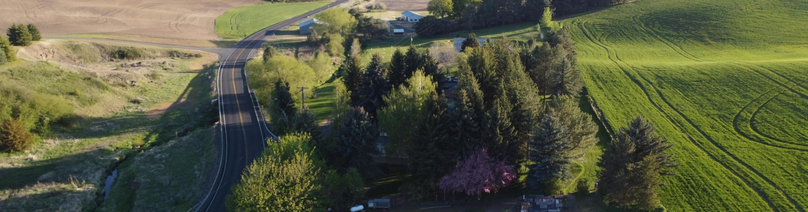 Sand Rd., Pullman, Washington 99163, 4 Bedrooms Bedrooms, 0 ,3 BathroomsBathrooms,Houses,For Sale,Sand Rd.,0,284466