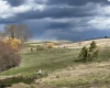 Tidwell, Palouse, Washington 99161, ,Other,For Sale,Tidwell,283134