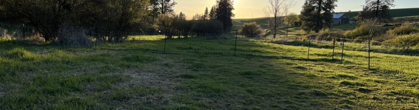 Tidwell, Palouse, Washington 99161, ,Other,For Sale,Tidwell,283134