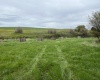 Tidwell, Palouse, Washington 99161, ,Other,For Sale,Tidwell,283134