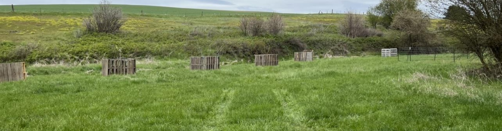 Tidwell, Palouse, Washington 99161, ,Other,For Sale,Tidwell,283134