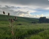 Tidwell, Palouse, Washington 99161, ,Other,For Sale,Tidwell,283134
