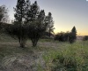 Tidwell, Palouse, Washington 99161, ,Other,For Sale,Tidwell,283134