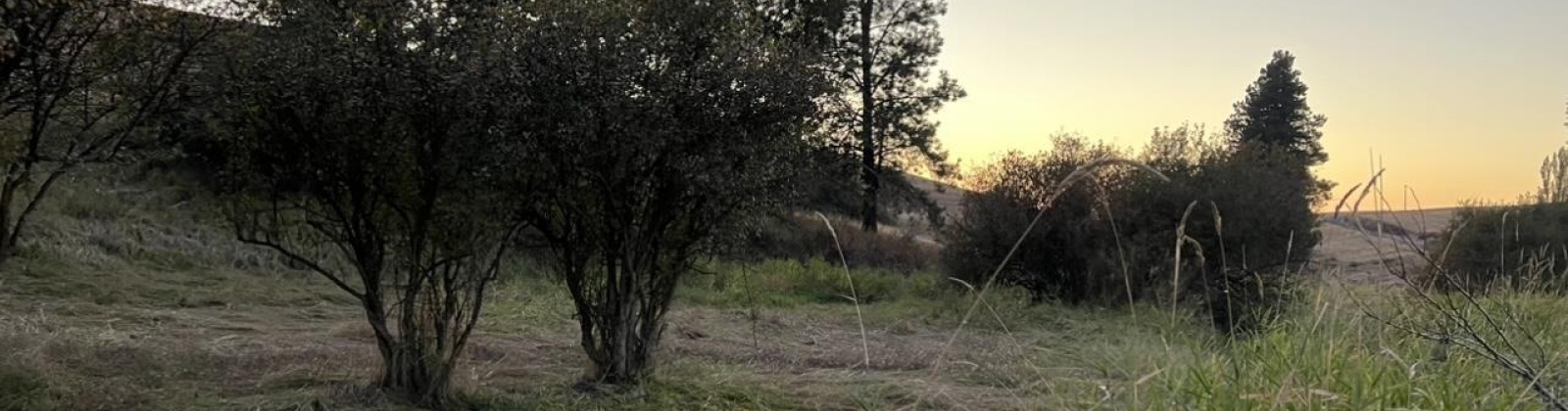 Tidwell, Palouse, Washington 99161, ,Other,For Sale,Tidwell,283134