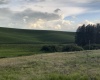 Tidwell, Palouse, Washington 99161, ,Other,For Sale,Tidwell,283134