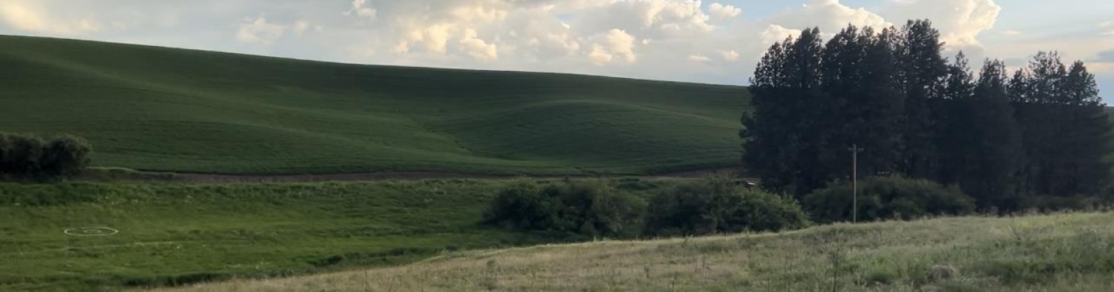 Tidwell, Palouse, Washington 99161, ,Other,For Sale,Tidwell,283134