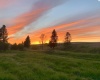 Tidwell, Palouse, Washington 99161, ,Other,For Sale,Tidwell,283134