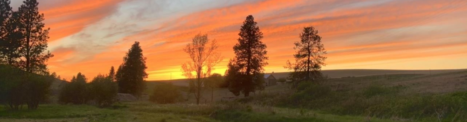 Tidwell, Palouse, Washington 99161, ,Other,For Sale,Tidwell,283134