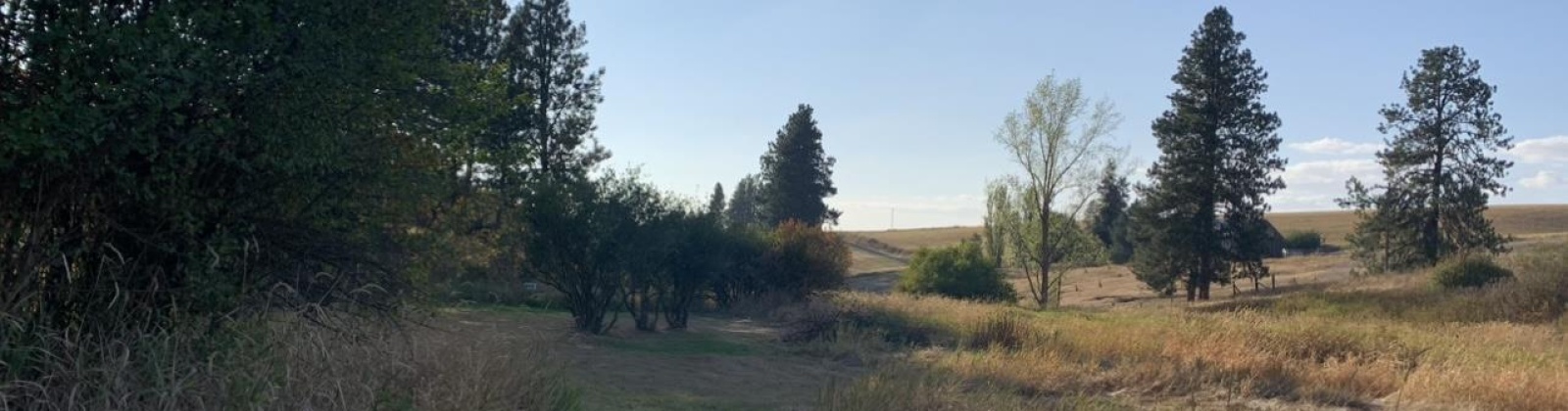 Tidwell, Palouse, Washington 99161, ,Other,For Sale,Tidwell,283134