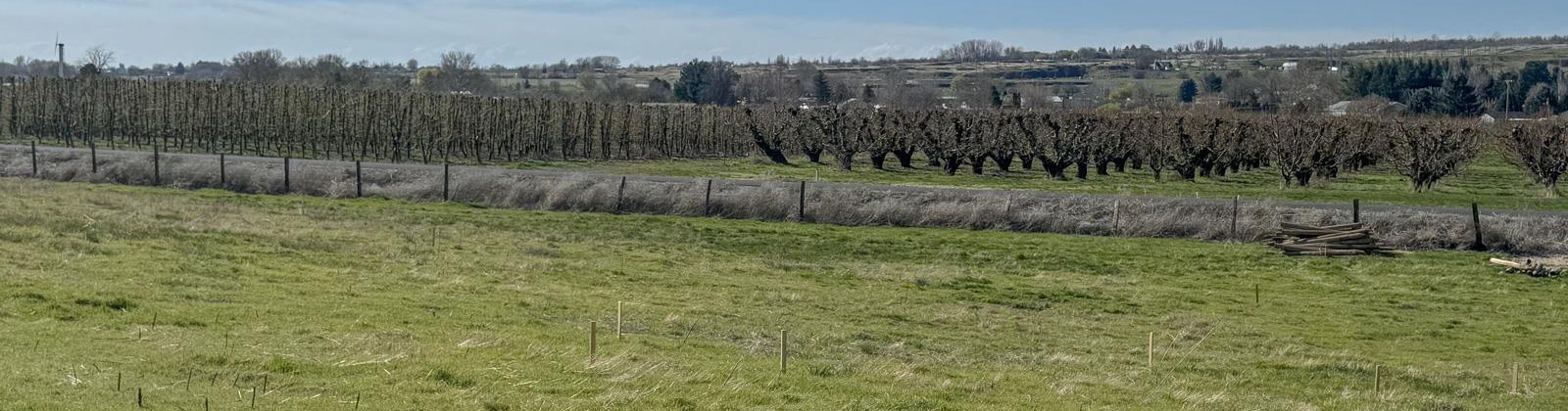 Hansen Road, Prosser, Washington 99350, ,Residential,For Sale,Hansen Road,283245