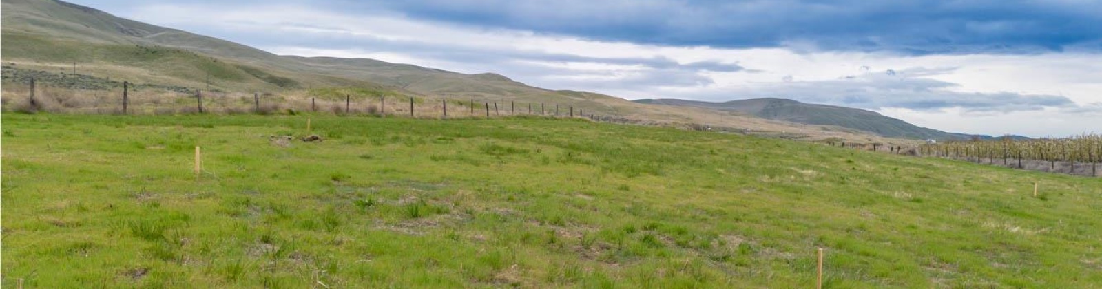 Hansen Road, Prosser, Washington 99350, ,Residential,For Sale,Hansen Road,283245