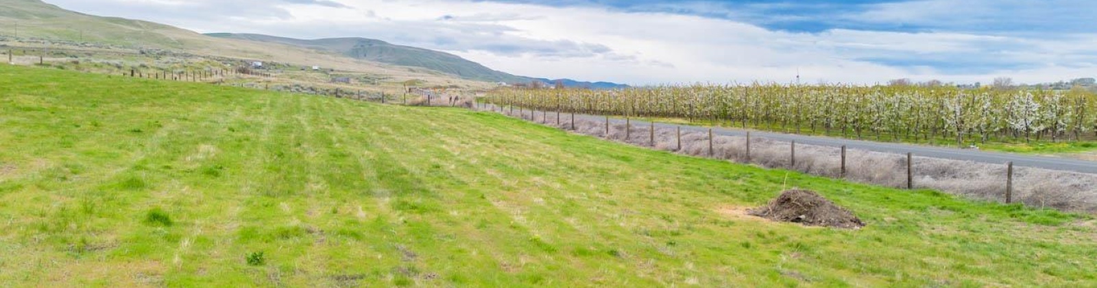 Hansen Road, Prosser, Washington 99350, ,Residential,For Sale,Hansen Road,283245