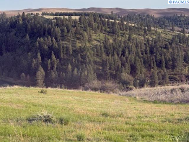 Lot 5 Red Tail Ridge, Colfax, Washington 99111, 0 , 0 ,0,Land/lots,For Sale,Lot 5 Red Tail Ridge,0,283707