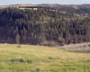 Lot 5 Red Tail Ridge, Colfax, Washington 99111, ,Houses,For Sale,Lot 5 Red Tail Ridge,283707