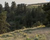 Lot 5 Red Tail Ridge, Colfax, Washington 99111, ,Houses,For Sale,Lot 5 Red Tail Ridge,283707