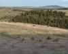 Lot 5 Red Tail Ridge, Colfax, Washington 99111, ,Houses,For Sale,Lot 5 Red Tail Ridge,283707