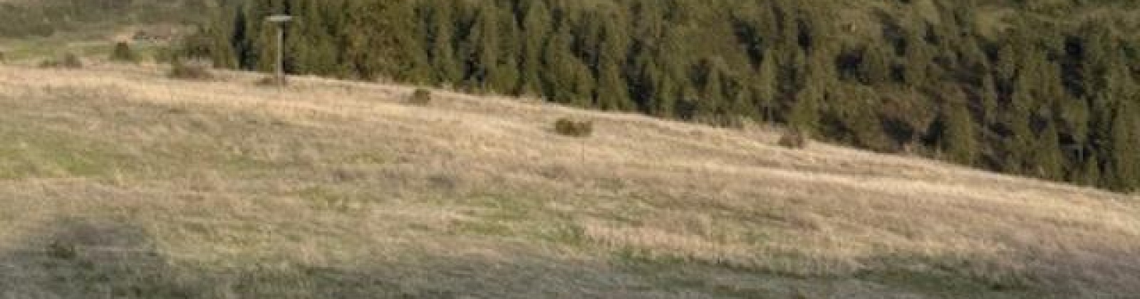 Lot 5 Red Tail Ridge, Colfax, Washington 99111, ,Houses,For Sale,Lot 5 Red Tail Ridge,283707