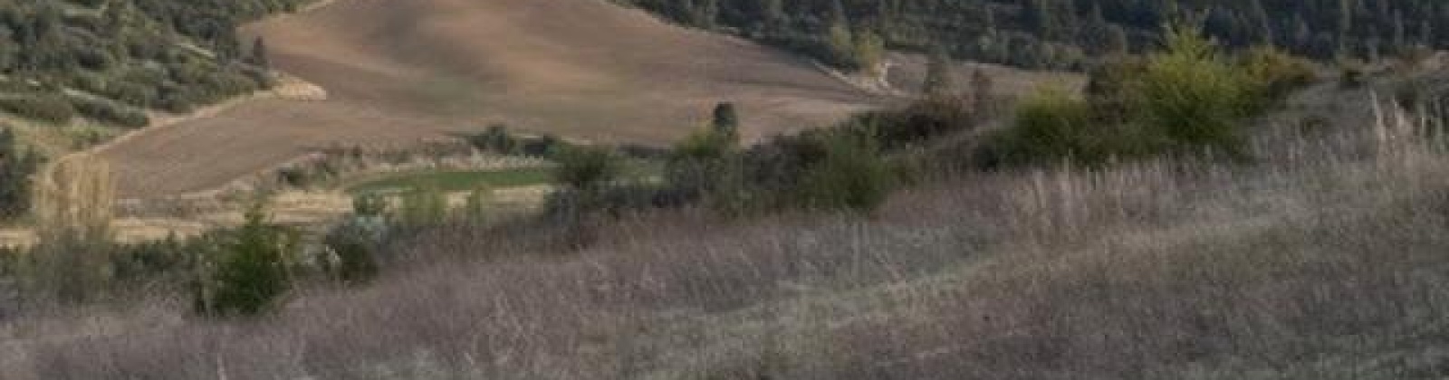 Lot 5 Red Tail Ridge, Colfax, Washington 99111, ,Houses,For Sale,Lot 5 Red Tail Ridge,283707