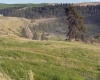 Lot 5 Red Tail Ridge, Colfax, Washington 99111, ,Houses,For Sale,Lot 5 Red Tail Ridge,283707
